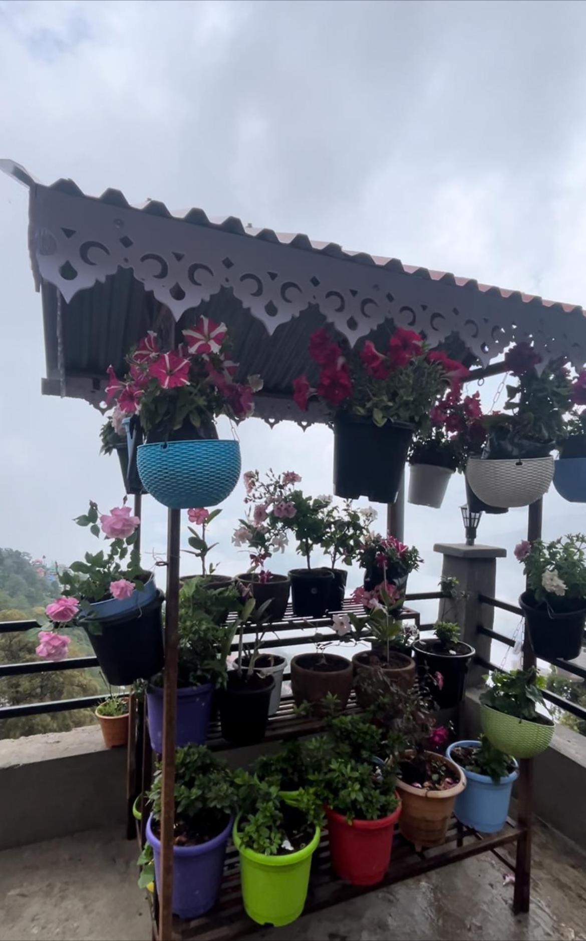 Shalom Inn Home Stay Дарджилинг Екстериор снимка