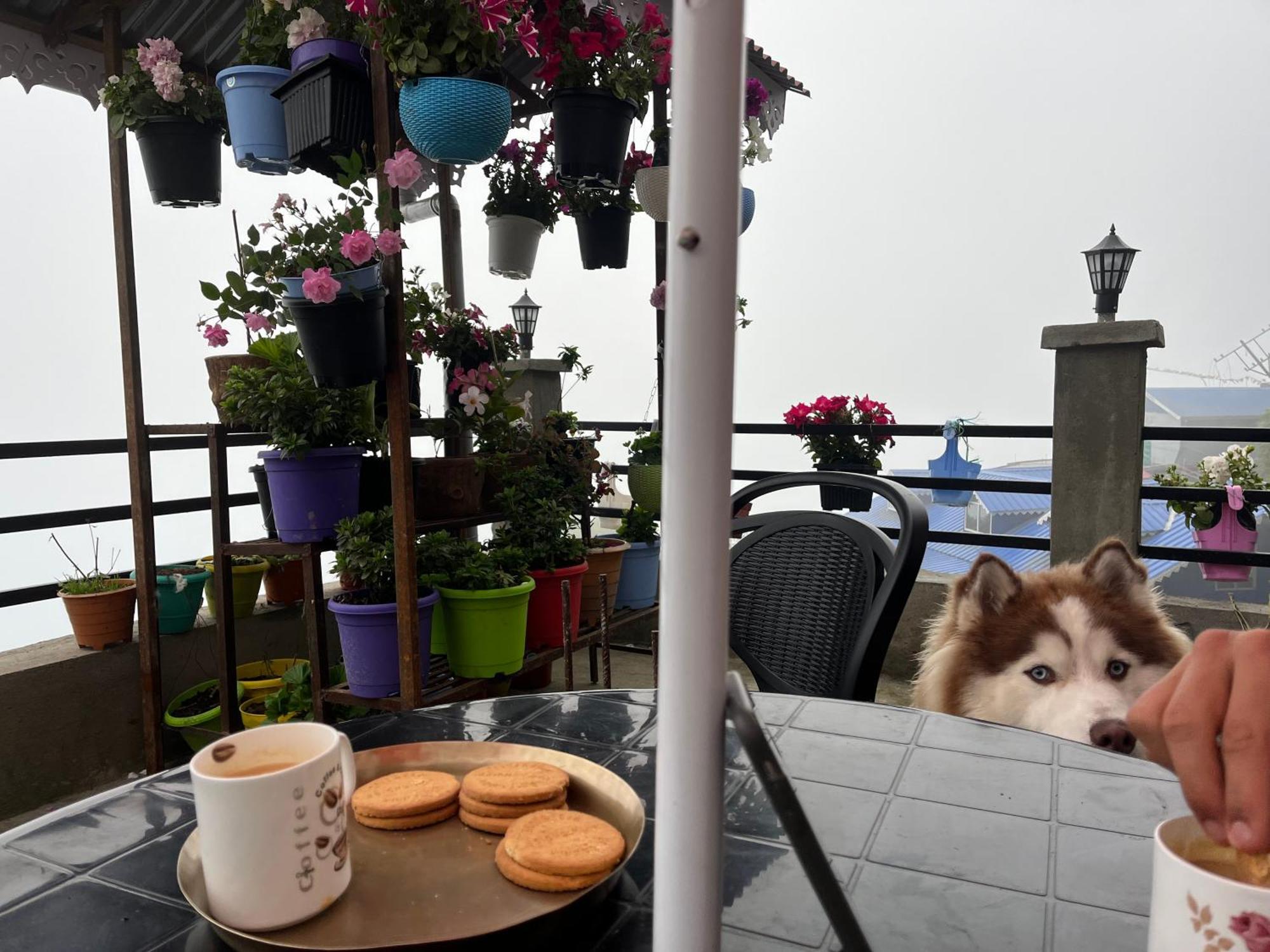 Shalom Inn Home Stay Дарджилинг Екстериор снимка